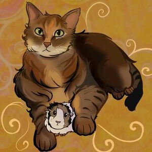 Meet your Posher, Amelia